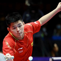 质量射门窗 质量射门窗